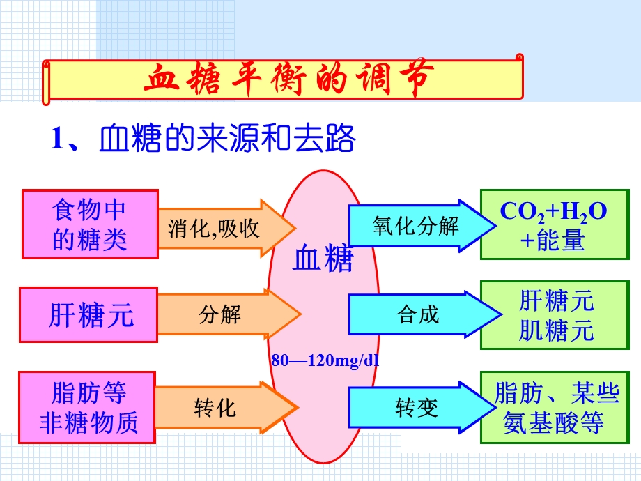 胰岛素与胰高血糖素ppt课件.ppt_第2页