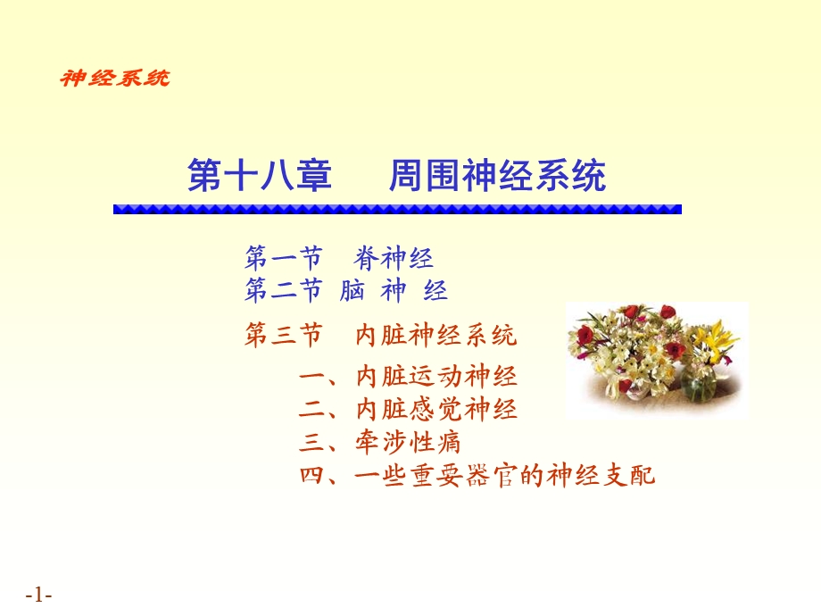 脏神经的解剖结构.ppt_第1页