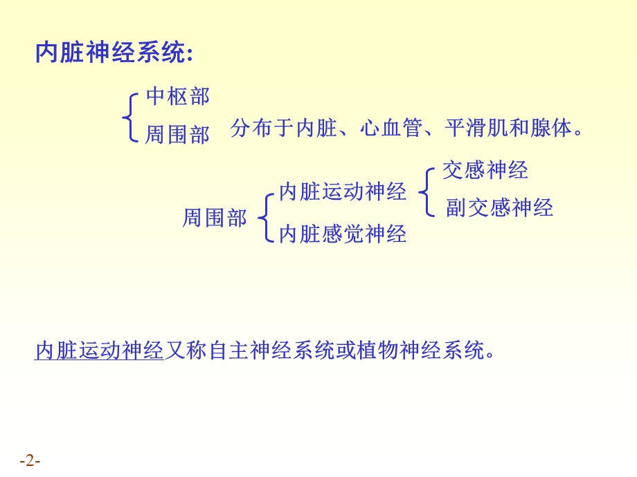 脏神经的解剖结构.ppt_第2页