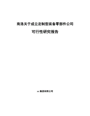 商洛关于成立定制型装备零部件公司可行性研究报告.docx