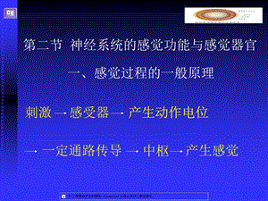 神经系统的感觉功能与感觉器官生理学.ppt