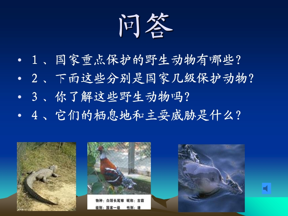 珍爱野生动物.ppt_第2页