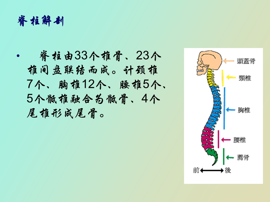 腰椎骨折前后路手术配合.ppt_第2页