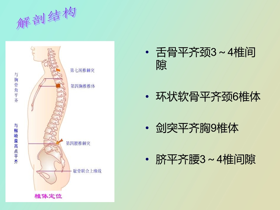 腰椎骨折前后路手术配合.ppt_第3页