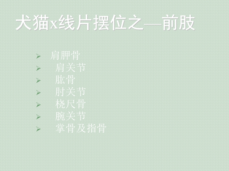 犬猫X线摆位-前肢.ppt_第3页