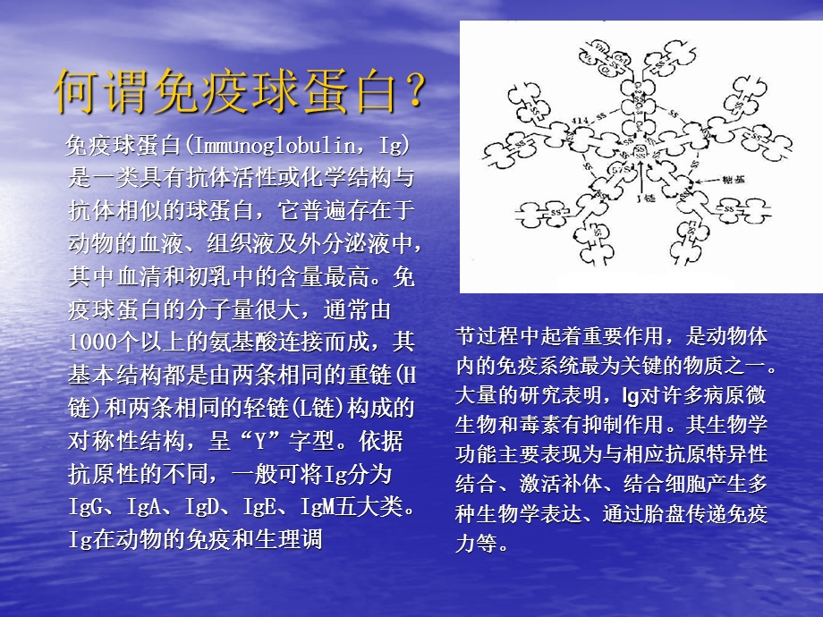 免疫球蛋白的制备方法及在畜禽生产中的应用.ppt_第2页