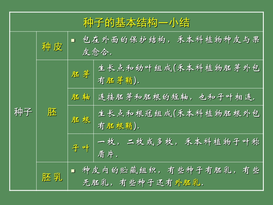 胚根胚根胚轴胚.ppt_第3页