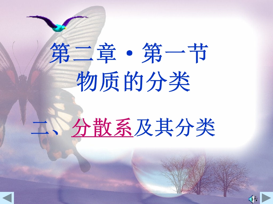 早晨的阳光射入树林的美丽景象.ppt_第2页