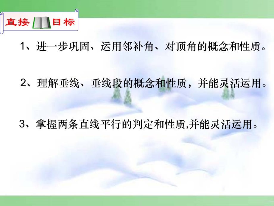 相交线与平行线复习课课件.ppt_第2页