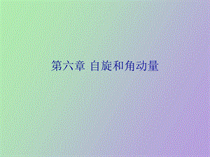 自旋和角动量.ppt