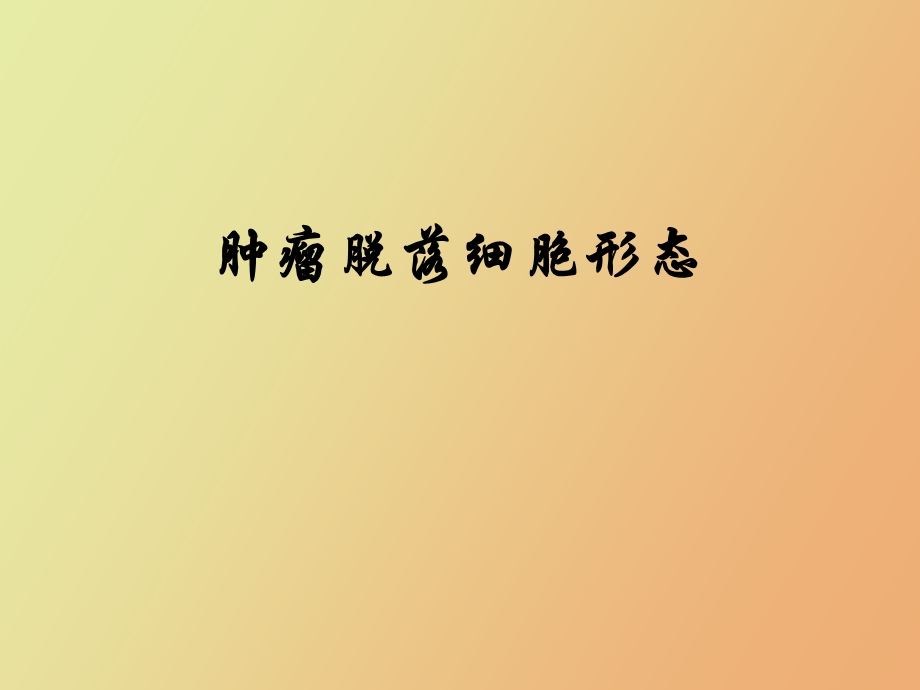 肿瘤细胞形态实验.ppt_第1页