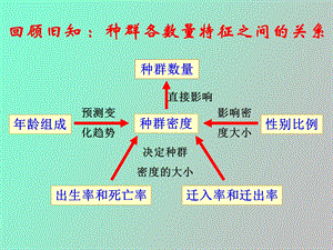 种群数量的变动上.ppt