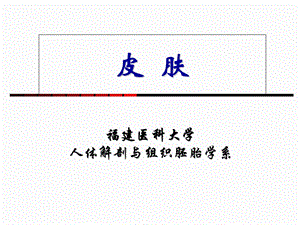 组织学与胚胎学第11章皮肤上.ppt