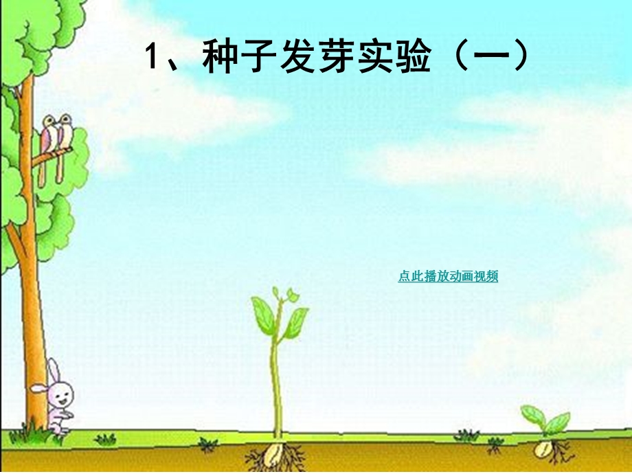 种子发芽实验一五上第一单元.ppt_第3页