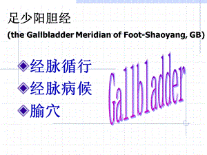 足少阳胆经theGallbladderMeridianofFootShaoyangGBP.ppt