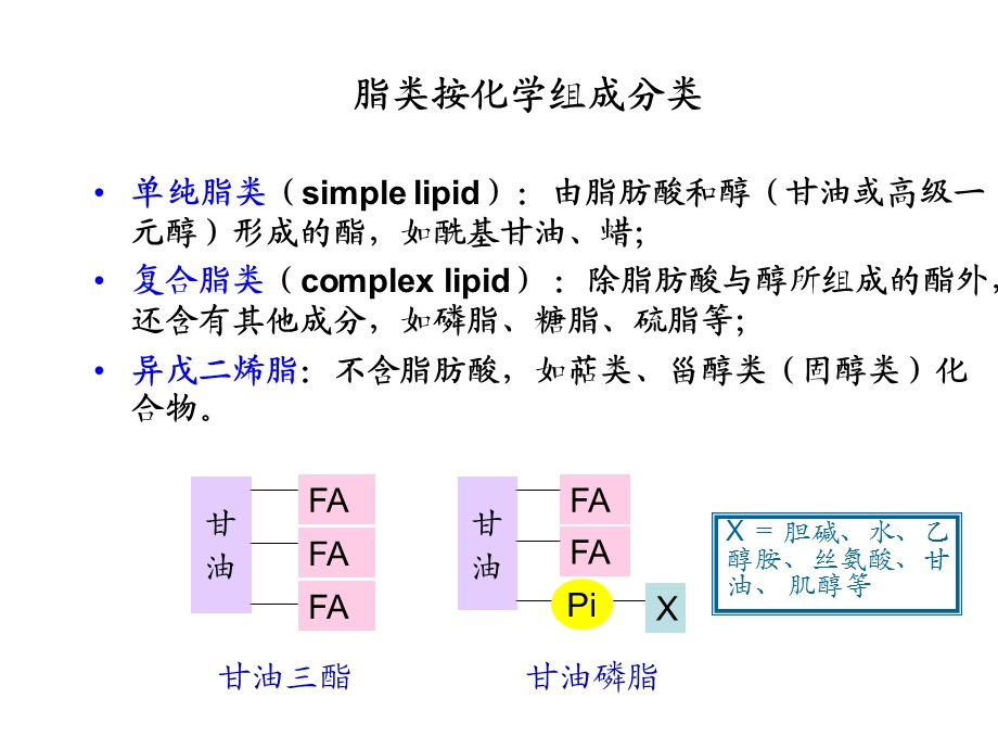 脂类代谢的合成与分解.ppt_第3页