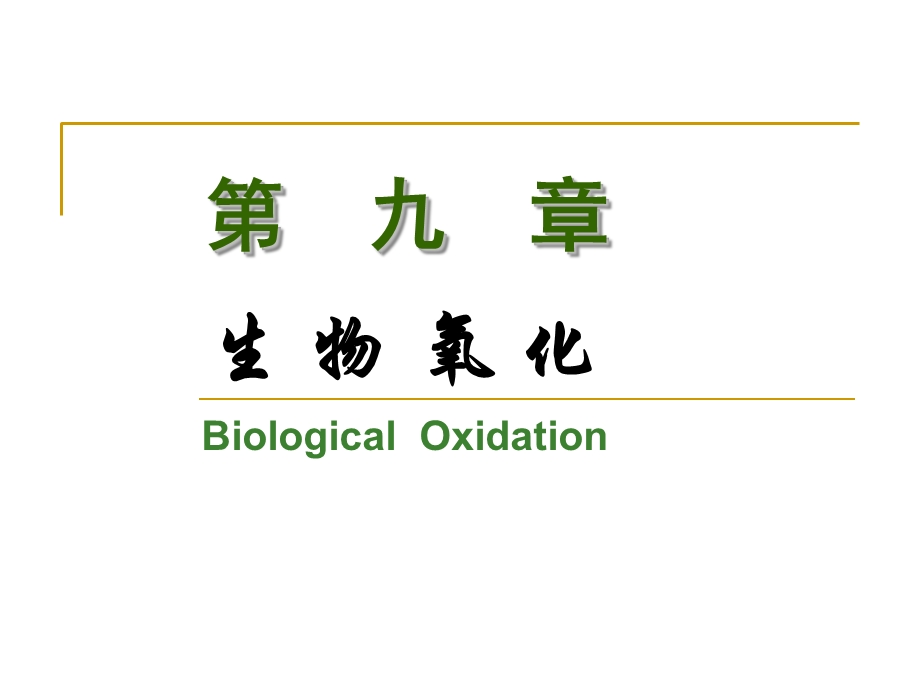 生物化学第九章生物氧化.ppt_第1页