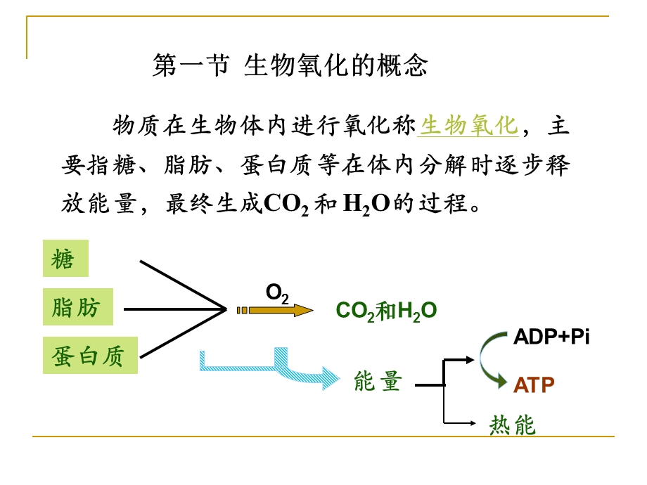 生物化学第九章生物氧化.ppt_第2页