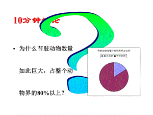 脊椎动物总论与鱼形类.ppt