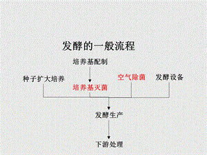 灭菌及无菌空气的制备.ppt