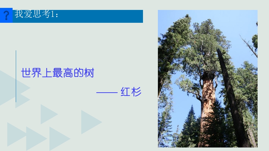 相似三角形知识点总结.ppt_第2页