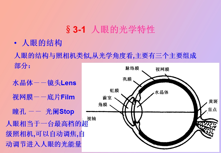 眼睛和目视光学系统.ppt_第3页