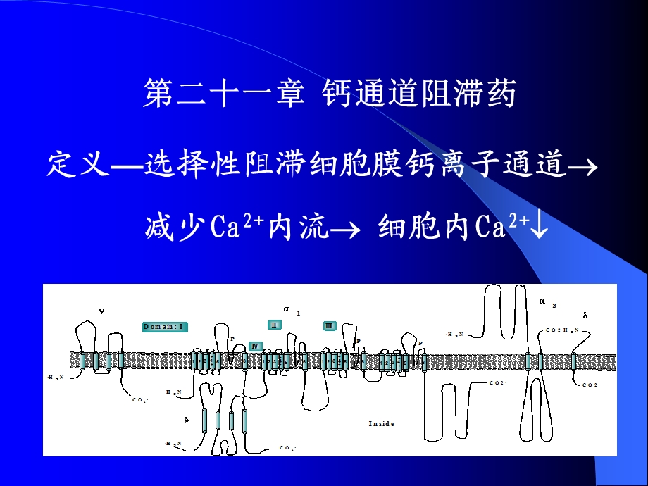 药理学第21章钙通道阻滞药.ppt_第1页