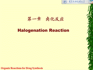 药物合成卤化反应.ppt