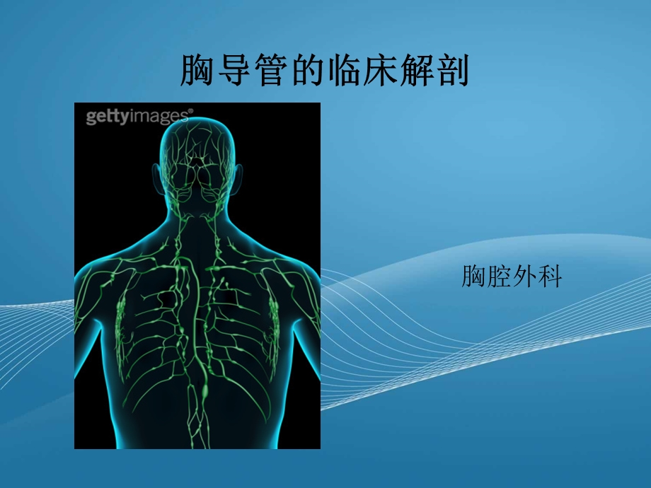 胸导管的临床解剖.ppt_第1页