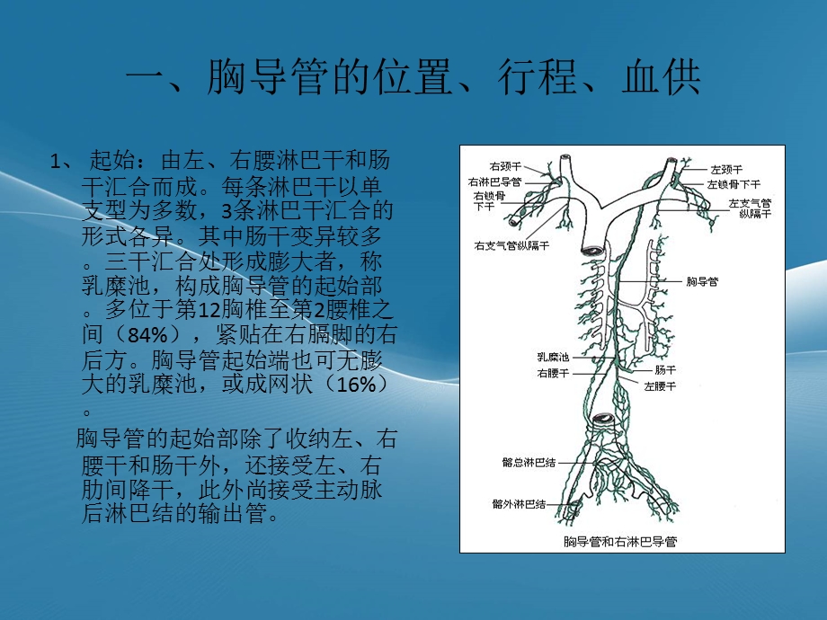 胸导管的临床解剖.ppt_第3页