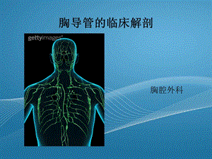 胸导管的临床解剖.ppt