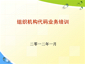 组织机构代码业务培训.ppt