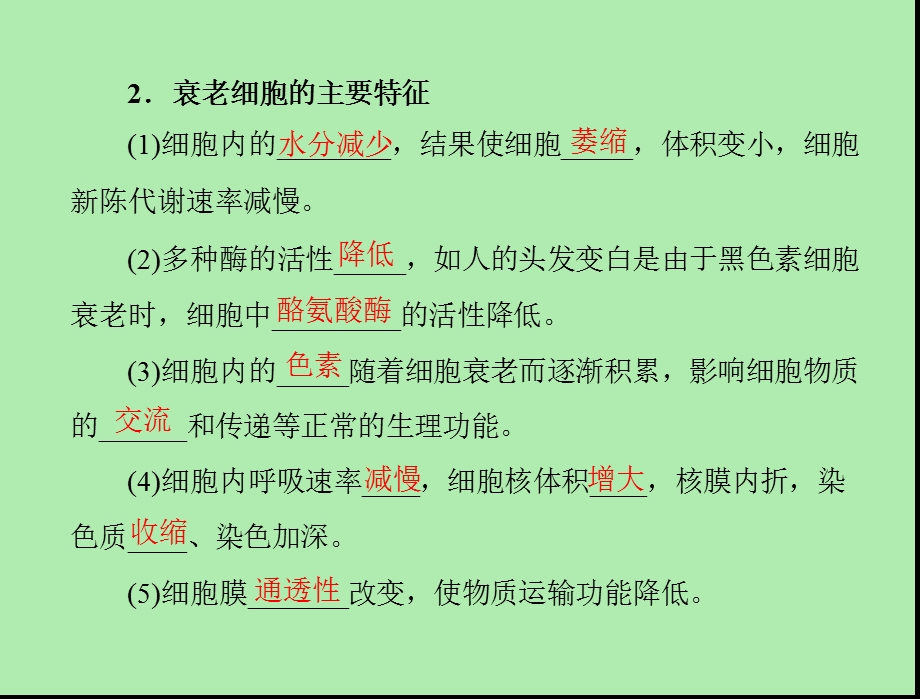 细胞的衰老和凋亡配套.ppt_第2页