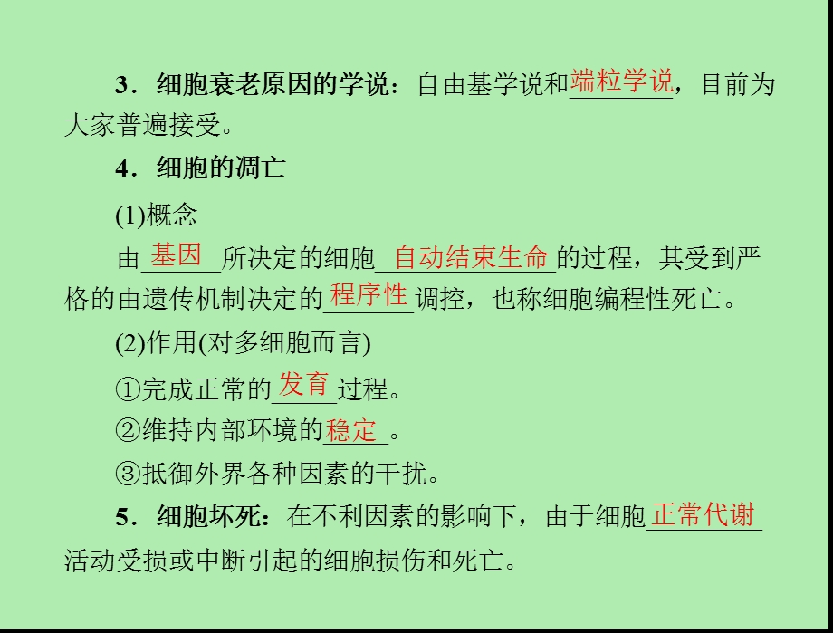 细胞的衰老和凋亡配套.ppt_第3页