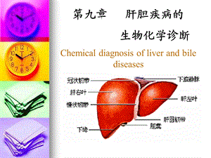 肝胆疾病的生物化学诊断.ppt