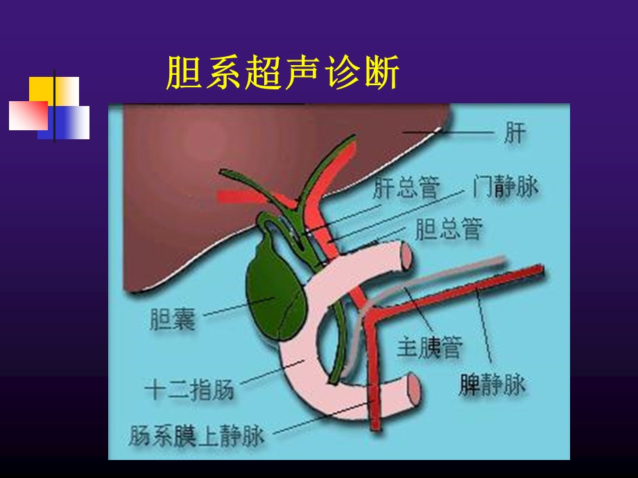 胆道系统疾病超声诊断.ppt_第2页