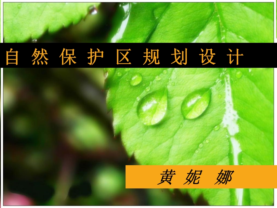 自然保护区规划设计-第二章.ppt_第1页