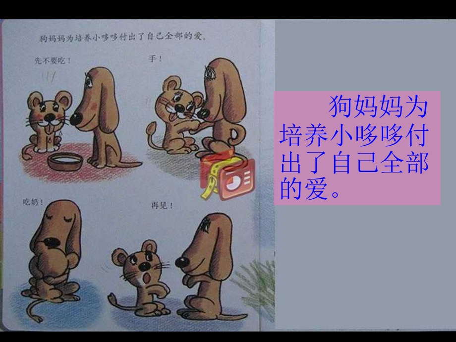 温情的狮子(课件).ppt_第3页