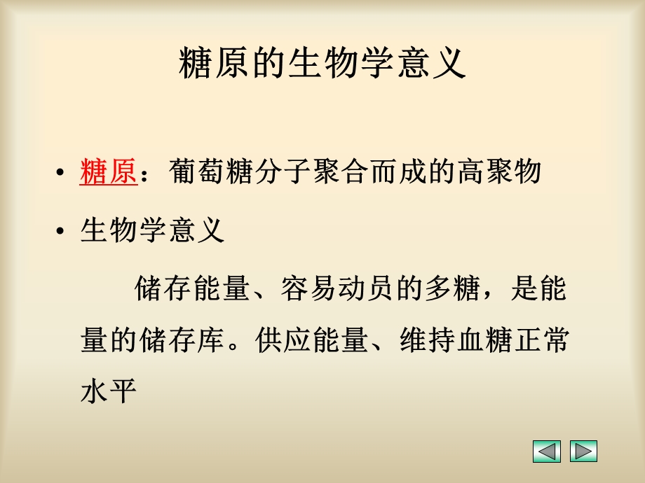 糖原的合成和分解.ppt_第3页