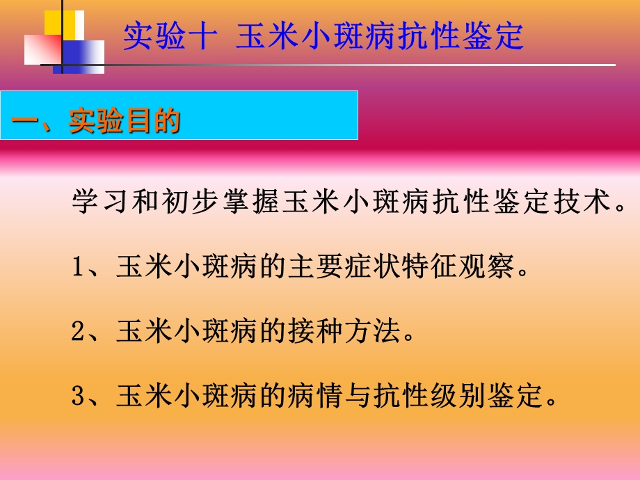 玉米小斑病抗性鉴定.ppt_第1页