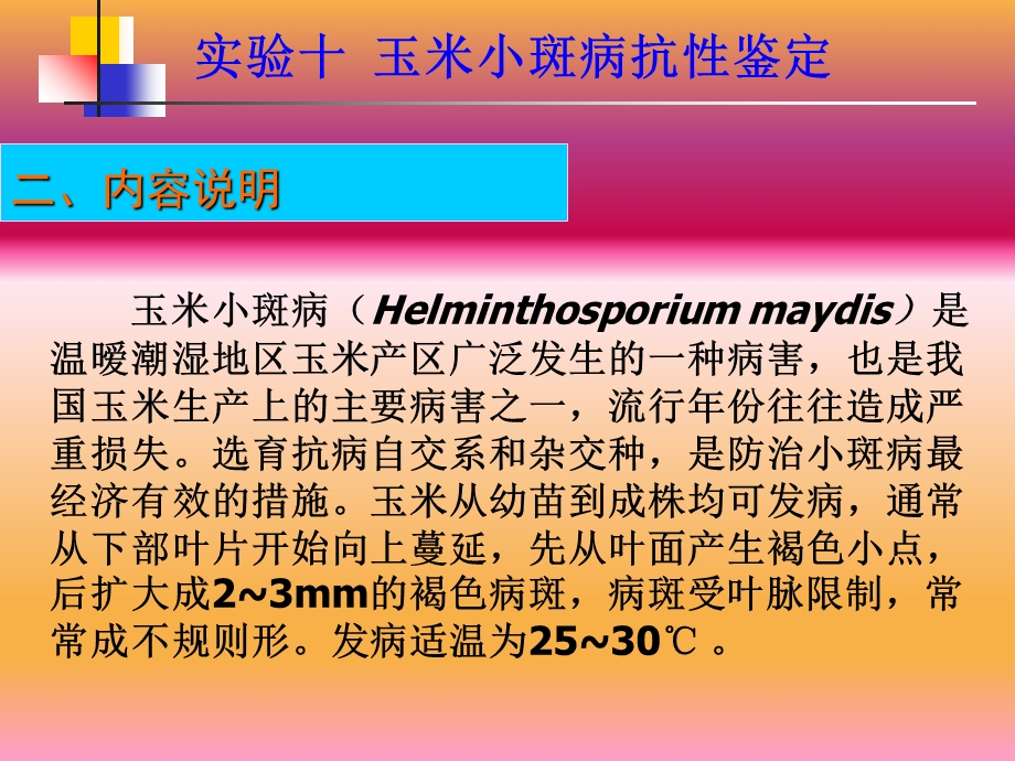 玉米小斑病抗性鉴定.ppt_第2页