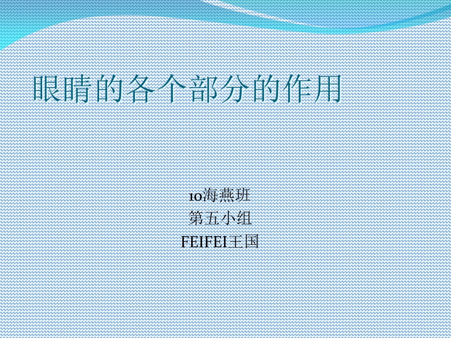 眼睛各个部分的名称及作用.ppt_第1页