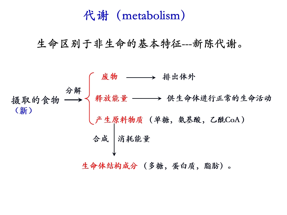 物质代谢的联系与调节im.ppt_第2页