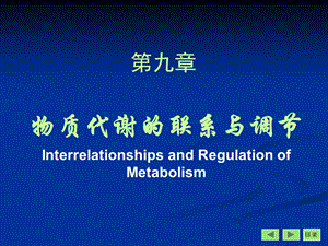 物质代谢的联系与调节im.ppt