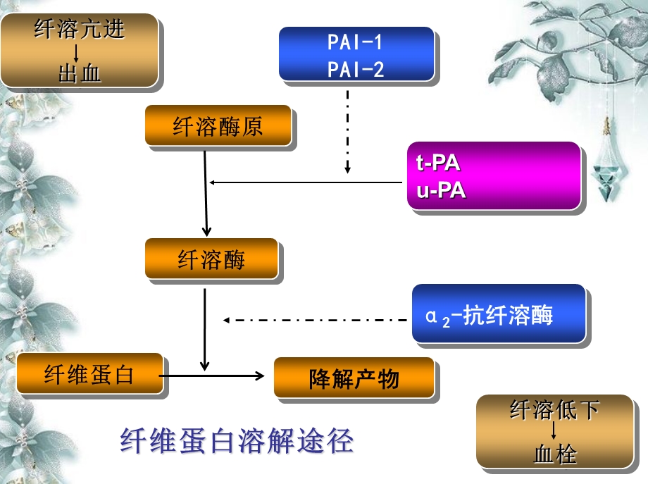 纤溶疾病的实验室检测与临床应用.ppt_第1页