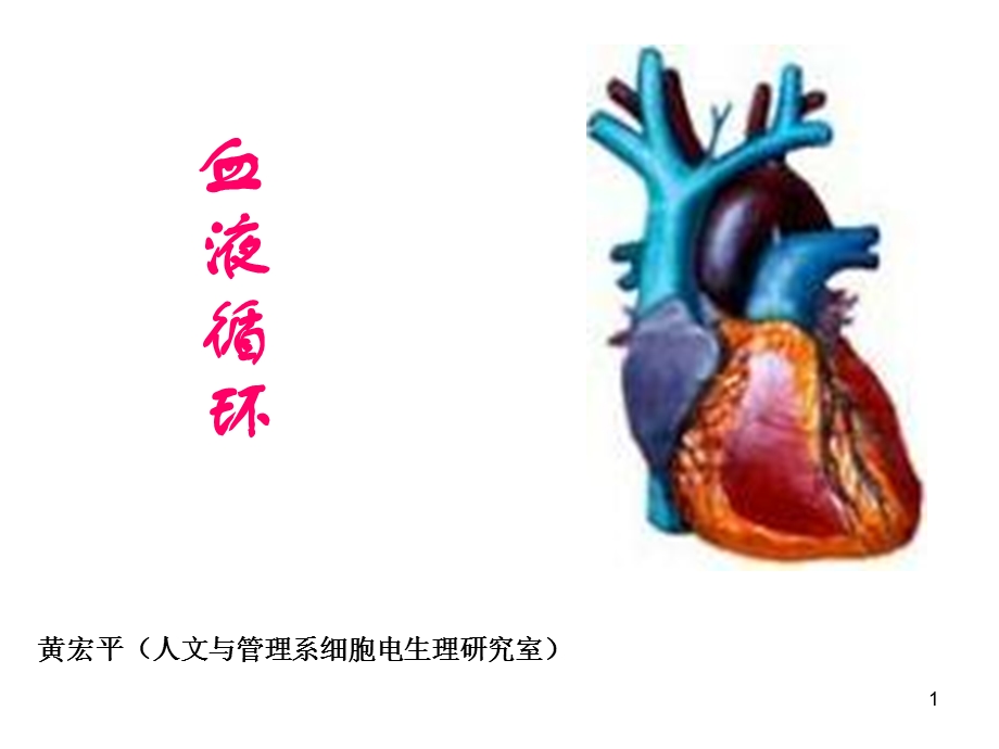 生理学第七版血液循环.ppt_第1页