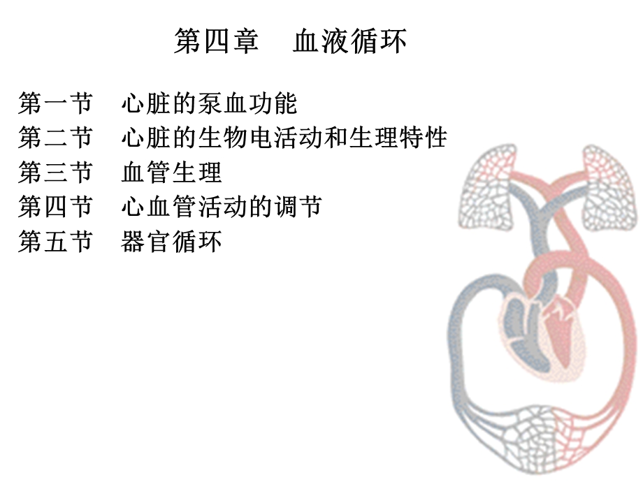 生理学第七版血液循环.ppt_第2页