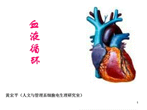 生理学第七版血液循环.ppt