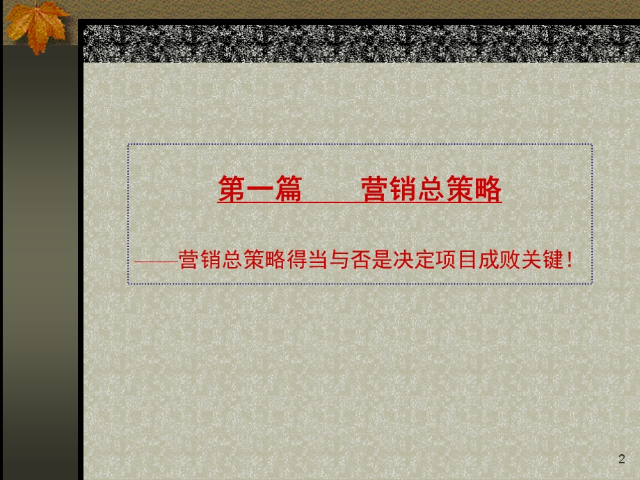 中航观澜项目营销总纲代理商方案.ppt_第2页