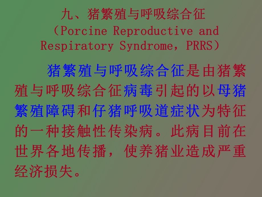 猪繁殖与呼吸综合症.ppt_第1页